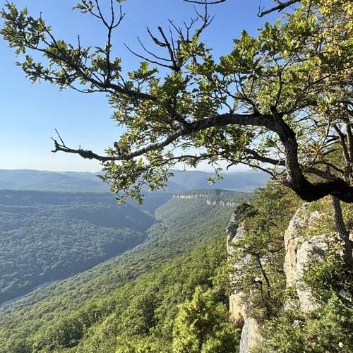 Photo #12583600