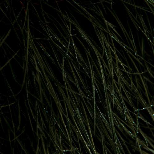 Photo #12583639