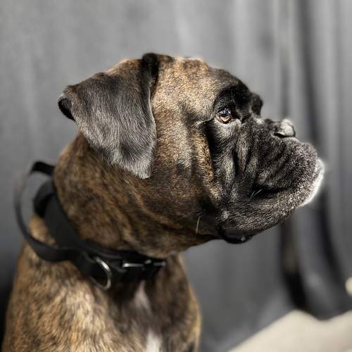 Photo #12583665