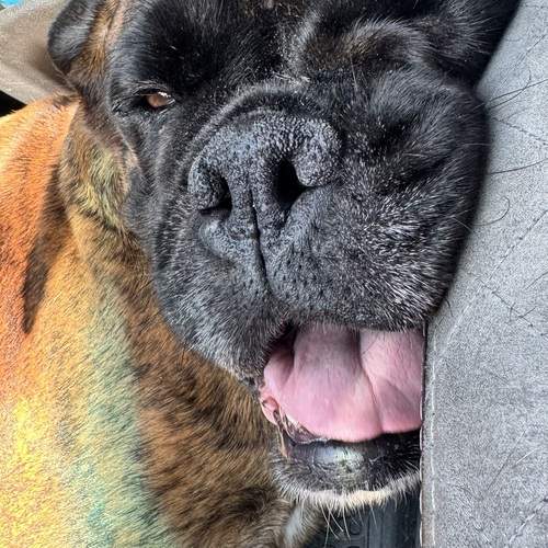 Photo #12583682