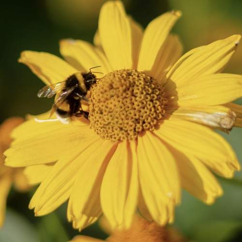 Photo #12583696