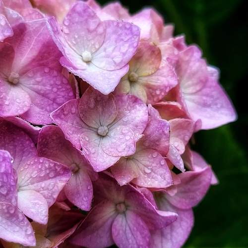 Photo #12583751