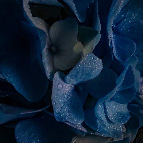 Photo #12583824