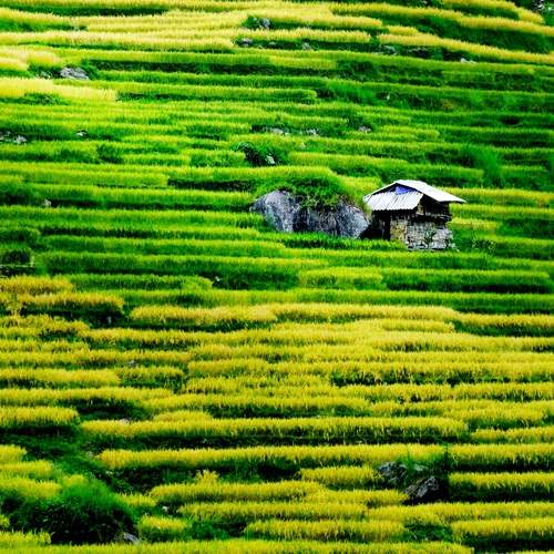 A La Chi House in Hoang Su Phi