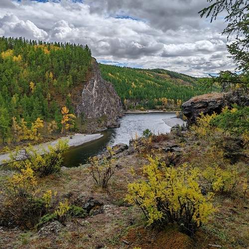Photo #12584020