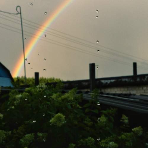 Photo #12584137
