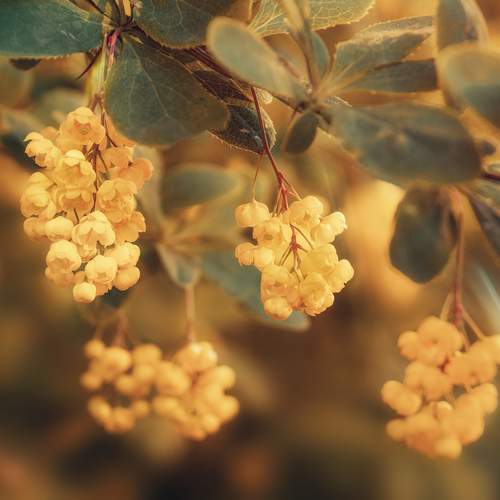 Photo #12584347