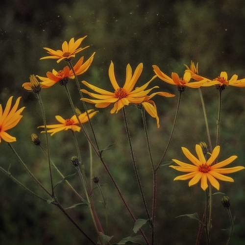 Photo #12584363