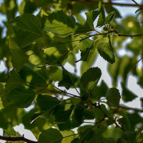 Photo #12584418