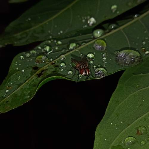Photo #12584427