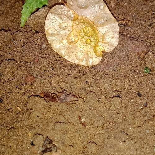 Photo #12584430