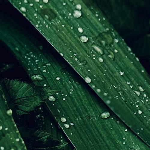 Photo #12584434