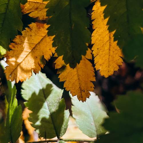Photo #12584742