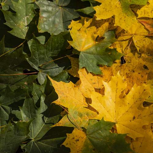 Photo #12584762
