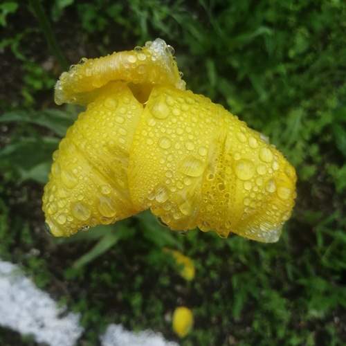 Photo #12584767