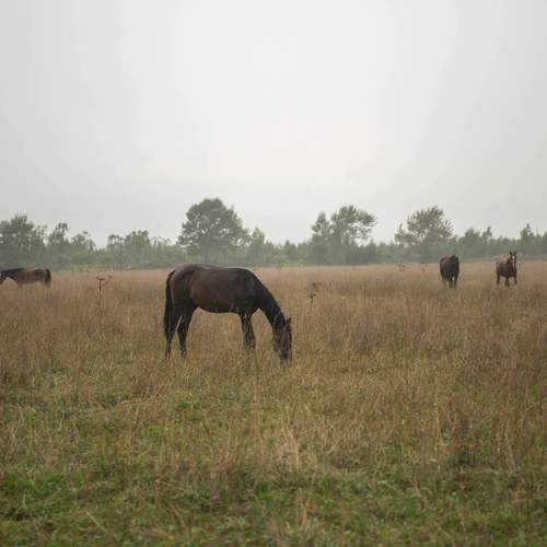 Фотография #12584880