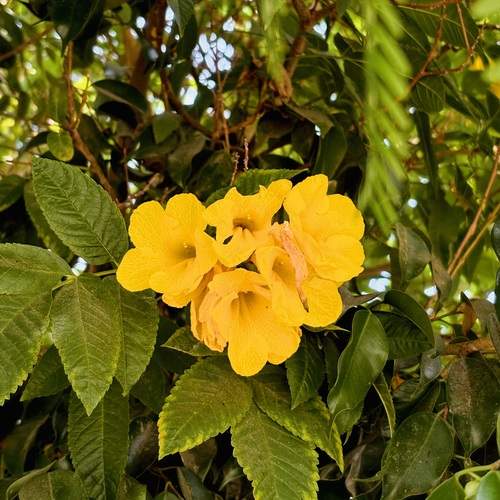 Photo #12585018