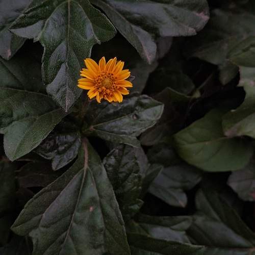 Photo #12585078