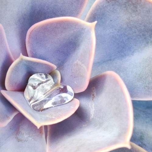 Photo #12585124