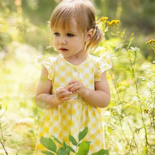 Photo #12585272