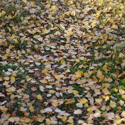 Photo #12585281