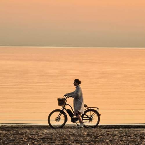 Photo #12585717