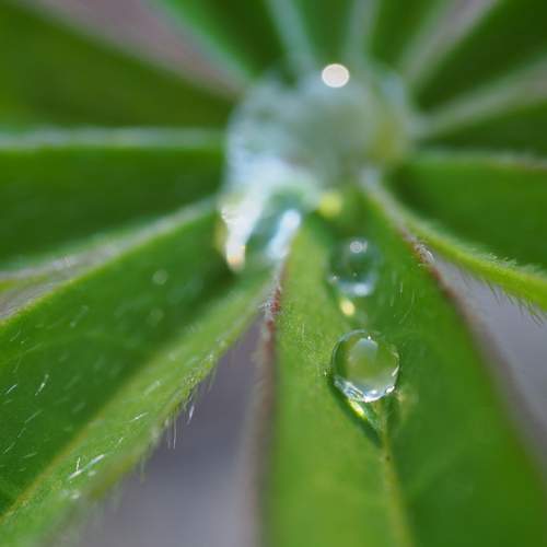 Photo #12586003