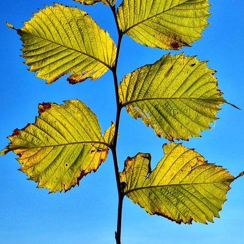 Photo #12586079