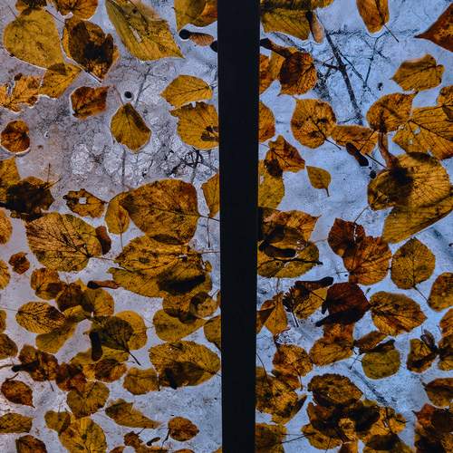 Photo #12586468