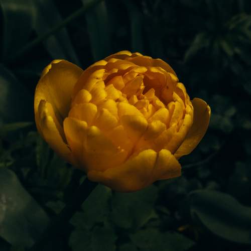 Photo #12586483