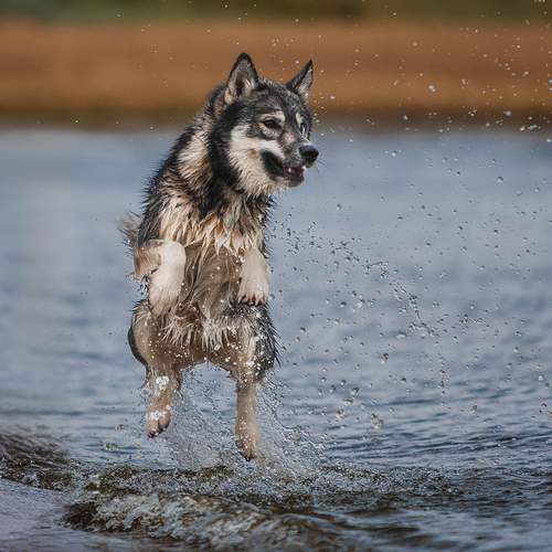 Photo #12586492