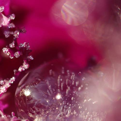 Photo #12586639