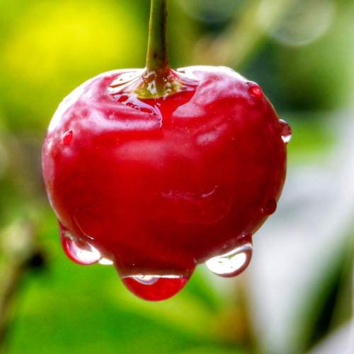 Photo #12586786