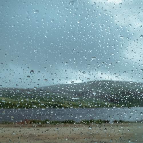Photo #12586847