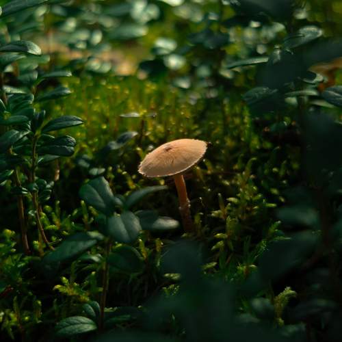 Photo #12586905