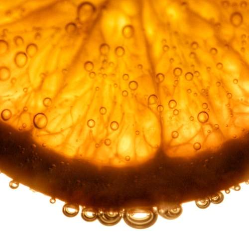 Фотография #12587044