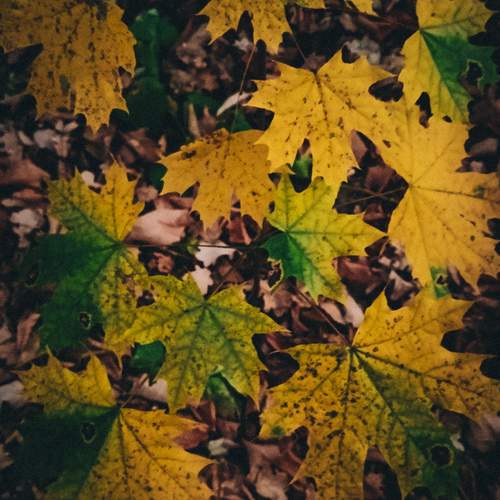 Photo #12587531