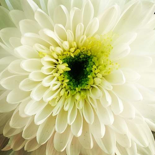 Photo #12587564