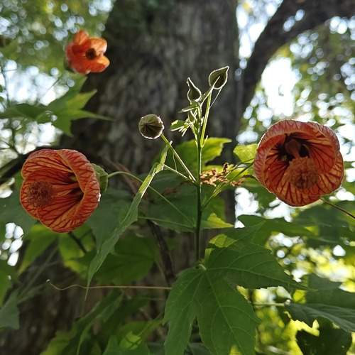 Photo #12587719
