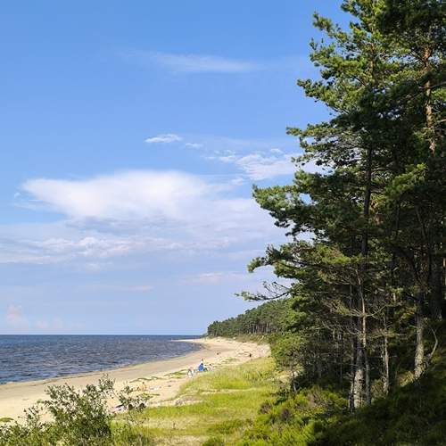 Photo #12587721