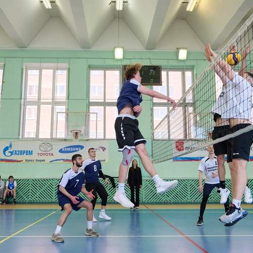 Photo #12587852