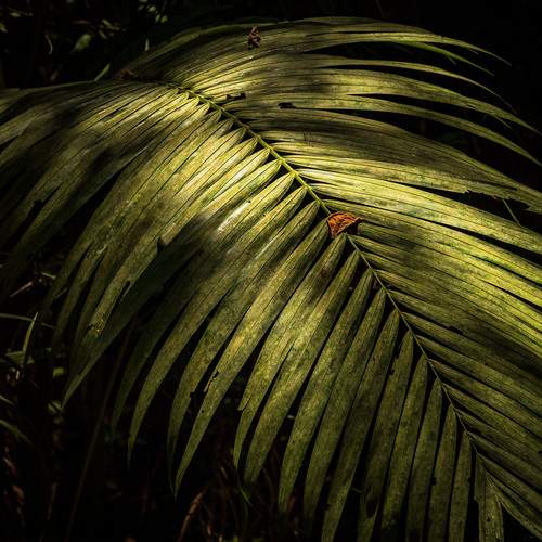 Photo #12588329