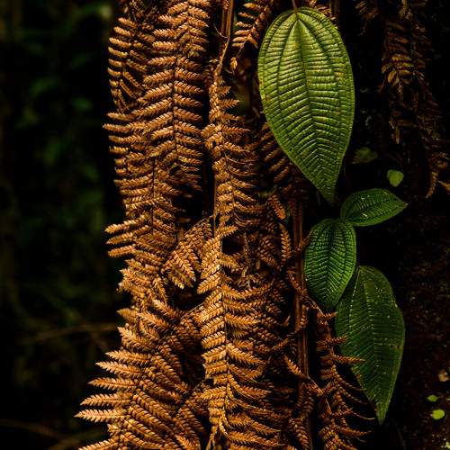 Photo #12588331
