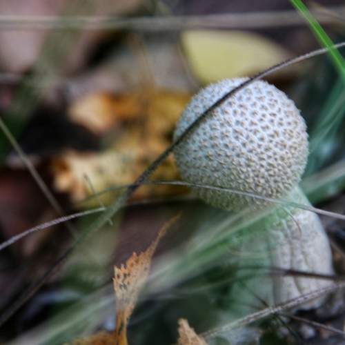 Photo #12588519