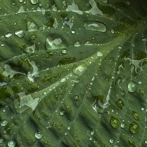 Photo #12588921