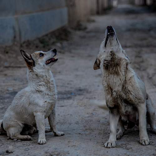 Photo #12588931
