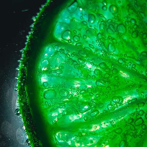 Photo #12589075