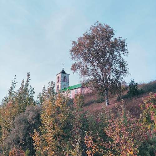 Photo #12589304