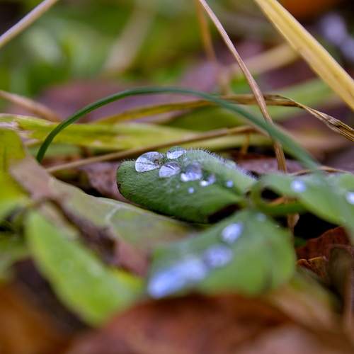 Photo #12589462