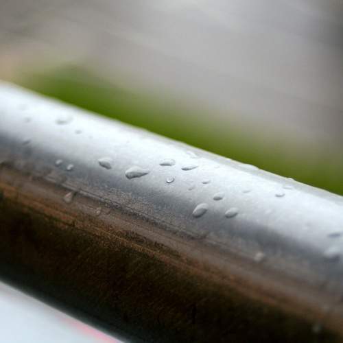 Photo #12589590